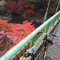 DAHONで泉自然公園の紅葉めぐり