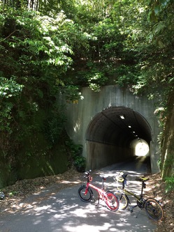 緑のなかの小さなトンネル